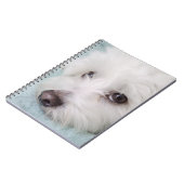 Coton de Tulear Puppy Eyes Notitieboek (Linkerzijde)