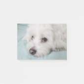 Coton de Tulear Puppy Eyes Post-it® Notes (Voorkant)