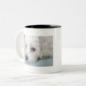 Coton de Tulear Puppy Eyes Tweekleurige Koffiemok (Voorkant links)