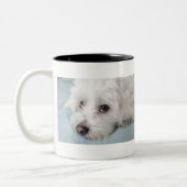 Coton de Tulear Puppy Eyes Tweekleurige Koffiemok (Links)