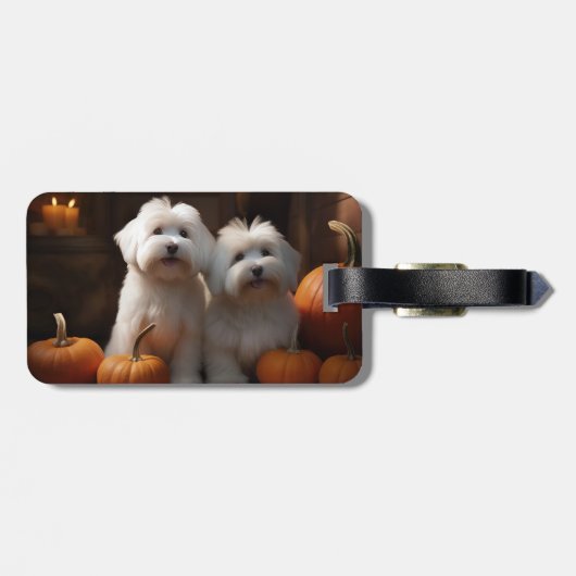 Coton De Tulear Puppy Herfst Delight Pompoen Bagagelabel (Achterkant horizontaal)