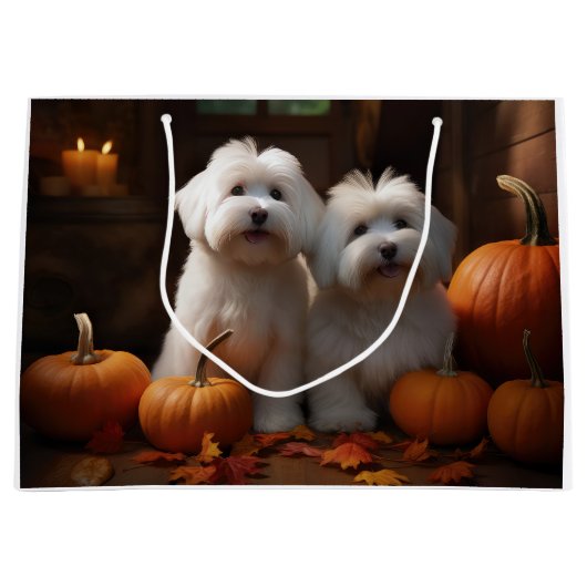 Coton De Tulear Puppy Herfst Delight Pompoen Groot Cadeauzakje (Voorkant)