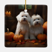 Coton De Tulear Puppy Herfst Delight Pompoen Keramisch Ornament (Achterkant)