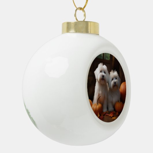 Coton De Tulear Puppy Herfst Delight Pompoen Keramische Bal Ornament (Links)