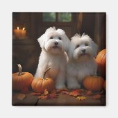Coton De Tulear Puppy Herfst Delight Pompoen Magneet (Voorkant)