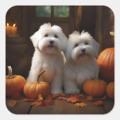 Coton De Tulear Puppy Herfst Delight Pompoen Vierkante Sticker (Voorkant)