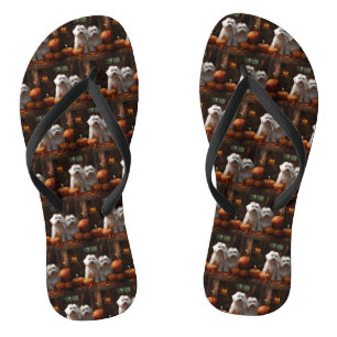 Coton De Tulear Puppy Herfst Plezier Pompoen  Teenslippers