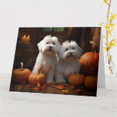 Coton De Tulear Puppy Herfstpracht Pompoen  Kaart (Gele Bloem)