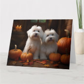 Coton De Tulear Puppy Herfstpracht Pompoen  Kaart (Voorkant)