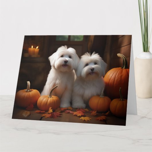 Coton De Tulear Puppy Herfstpracht Pompoen  Kaart (Voorkant)