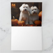 Coton De Tulear Puppy Herfstpracht Pompoen  Kaart (Binnen)