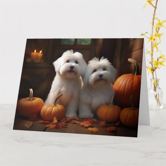 Coton De Tulear Puppy Herfstvreugde Pompoen  Kaart (Gele Bloem)