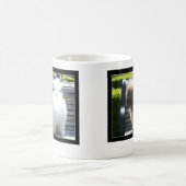 Coton de Tulear Puppy mok (Center)