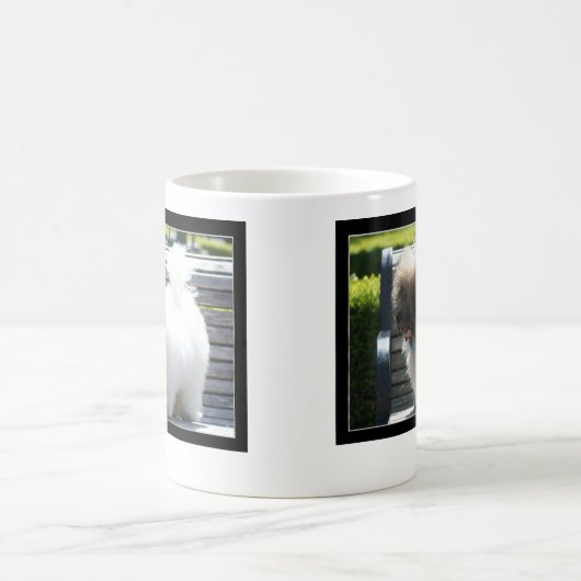 Coton de Tulear Puppy mok (Center)