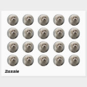 Coton de Tulear Ronde Sticker (Vel)