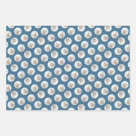 Coton de Tulear Schilderij Schattigee Originele Pe Inpakpapier Vel (Voorkant 3)