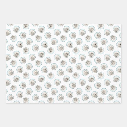 Coton de Tulear Schilderij Schattigee Originele Pe Inpakpapier Vel (Voorkant 2)