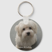 Coton de Tulear Sleutelhanger (Voorkant)