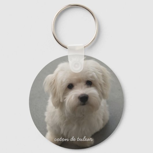 Coton de Tulear Sleutelhanger (Voorkant)