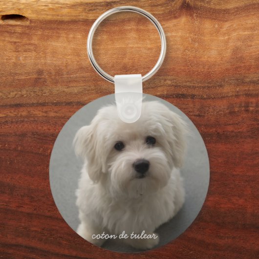 Coton de Tulear Sleutelhanger (Voorkant)