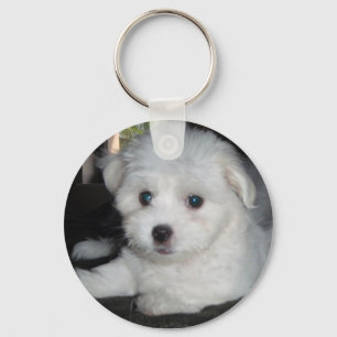 Coton De Tulear Sleutelhanger