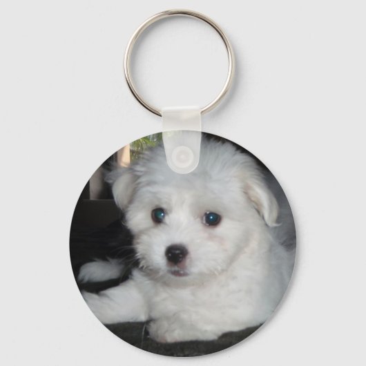 Coton De Tulear Sleutelhanger (Voorkant)