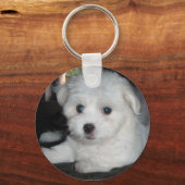 Coton De Tulear Sleutelhanger (Voorkant)