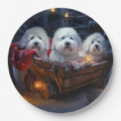 Coton De Tulear Sneeuw slee Kerst decoratie  Papieren Bordje (Voorkant)