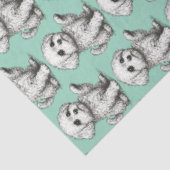 Coton de Tuléar Tissuepapier (Detail)