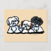 Coton De Tulear Trio Briefkaart (Voorkant)