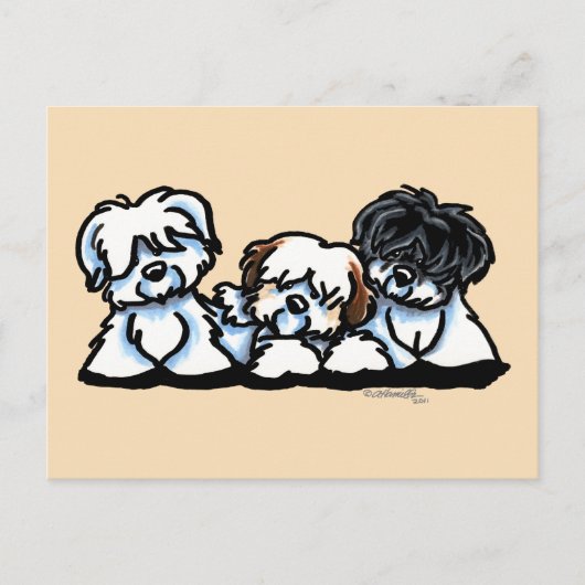Coton De Tulear Trio Briefkaart (Voorkant)
