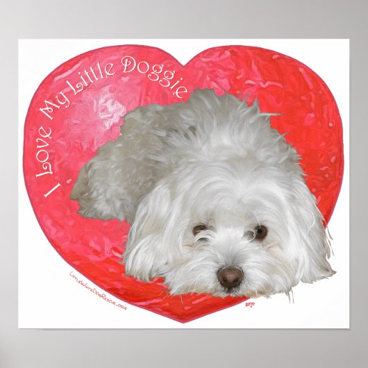 Coton de Tulear Valentijnsdag Poster (Voorkant)