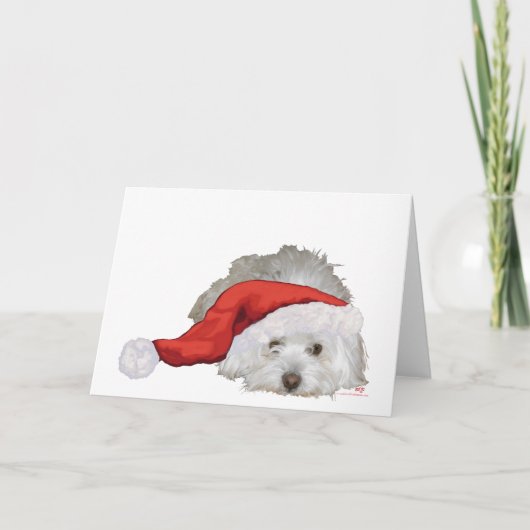 Coton de Tulear - Wachten Feestdagen Kaart (Voorkant)