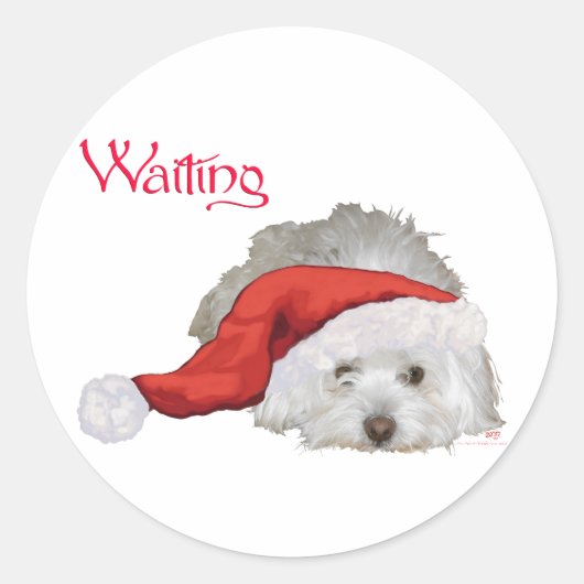 Coton de Tulear - Wachten Ronde Sticker (Voorkant)