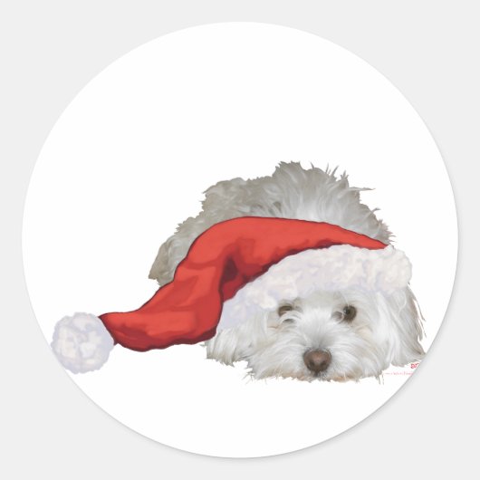 Coton de Tulear - Wachten Ronde Sticker (Voorkant)
