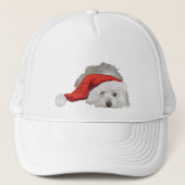 Coton de Tulear - Wachten Trucker Pet (Voorkant)