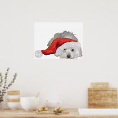 Coton de Tulear - Wachtend Poster (Keuken)