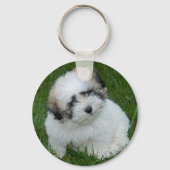 Coton Sleutelhanger (Voorkant)