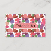 Cotoneaster Colorful Leaves Botanical Visitekaartje (Voorkant)