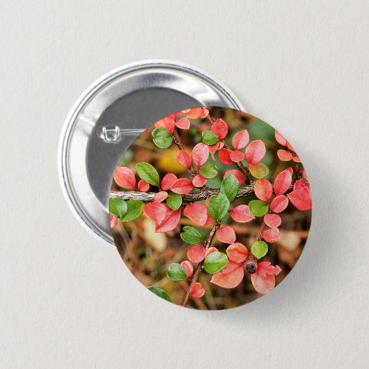 Cotoneaster horizontaal badge ronde button 5,7 cm (Voorkant /achterkant)