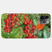 Cotoneaster lacteus Case-Mate iPhone case (Achterkant (horizontaal))