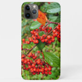 Cotoneaster lacteus Case-Mate iPhone case (Achterkant)