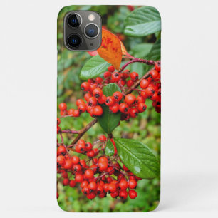 Cotoneaster lacteus Case-Mate iPhone case