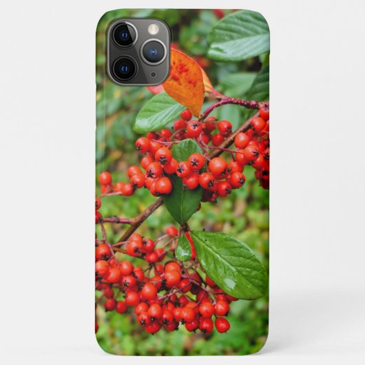 Cotoneaster lacteus Case-Mate iPhone case (Achterkant)