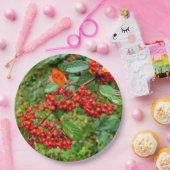 Cotoneaster lacteus Papier Bord (Feest)