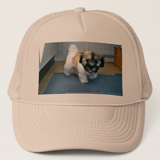 cotonpuppy 2.png trucker pet (Voorkant)