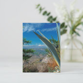 Cotopaxi vulcano, Ecuador Briefkaart (Staand voorkant)