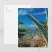 Cotopaxi vulcano, Ecuador Briefkaart (Voorkant / Achterkant)