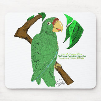 Cotorra Puertorriqueña/Puerto Rican Parrot Muismat