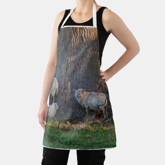 Cotswold Sheep Schort (Insitu)